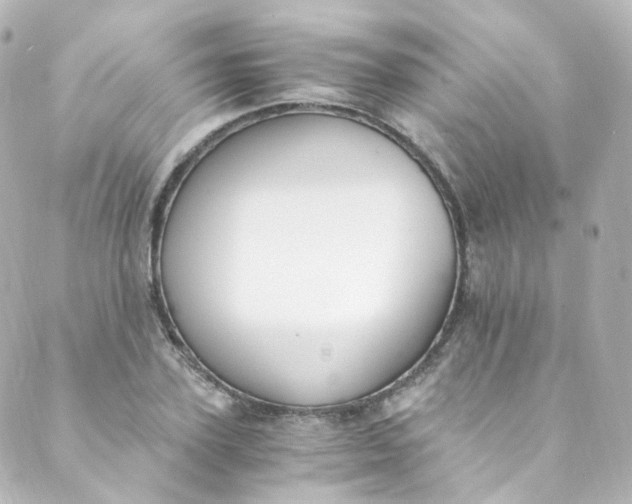 X0000088840931200706281818