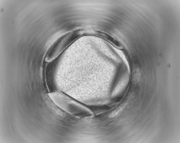 X0000088840932200706281818