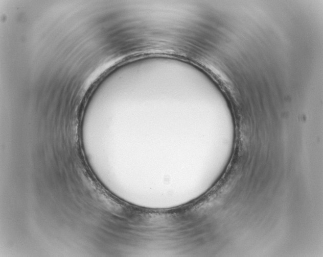 X0000088840933200706281818