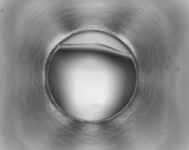 X0000088840935200706281818