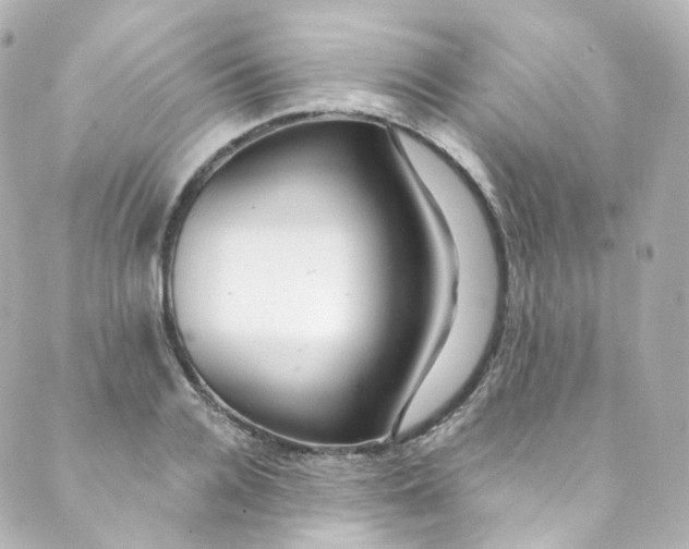 X0000088840936200706281818