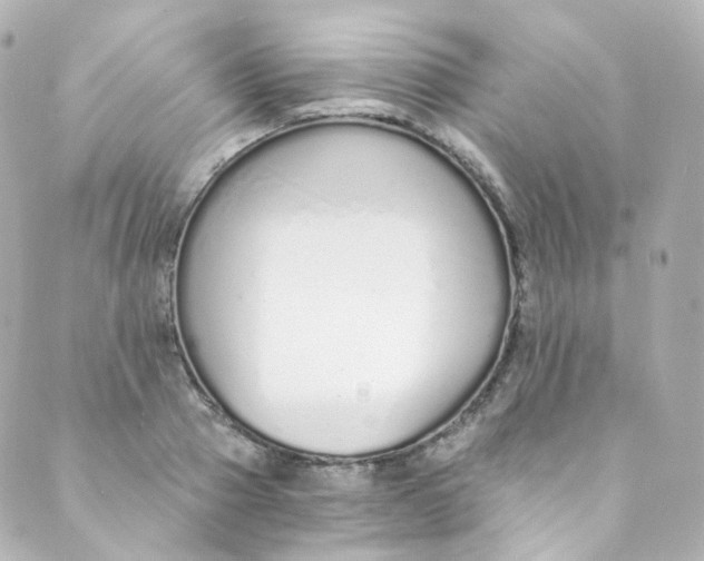 X0000088840937200706281818