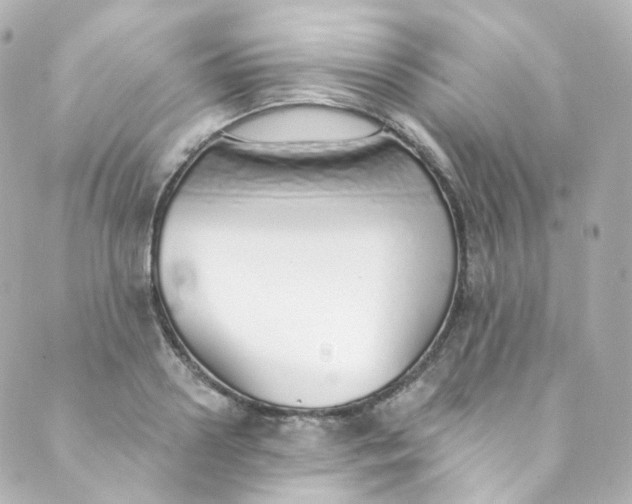 X0000088840938200706281818