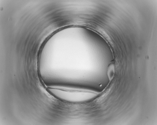 X0000088840939200706281818