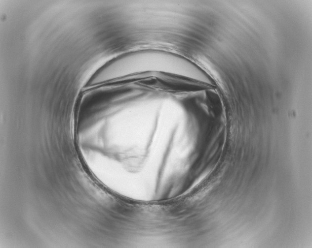 X0000088840940200706281818