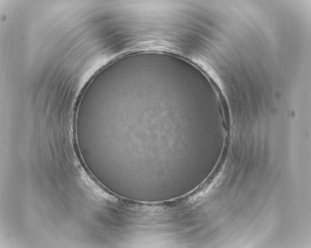 X0000088840941200706281818