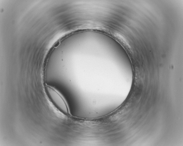 X0000088840942200706281818