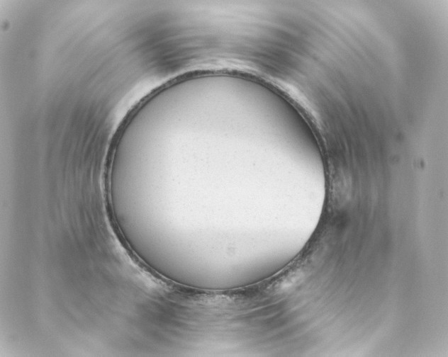 X0000088840943200706281818