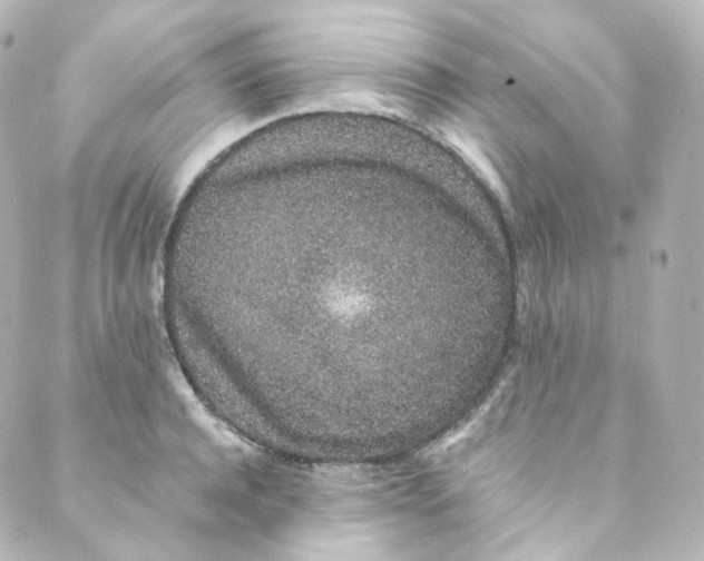 X0000088840944200706281818