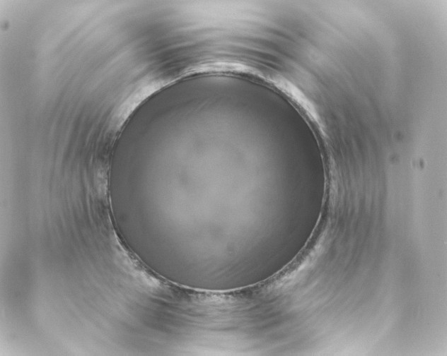 X0000088840945200706281818