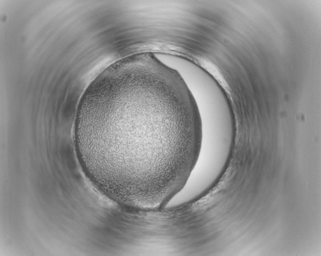 X0000088840946200706281818