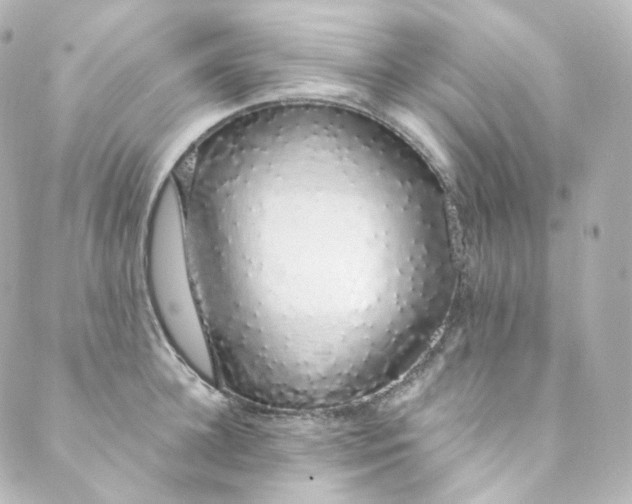 X0000088840948200706281818