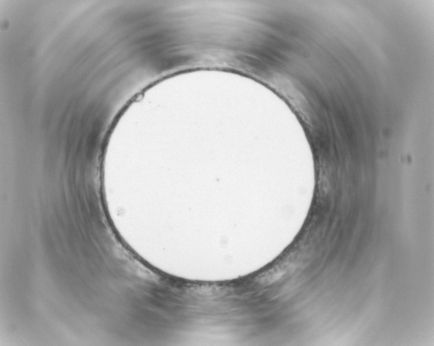 X0000088840950200706281818