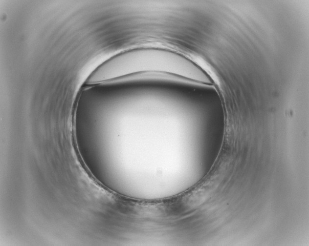 X0000088840951200706281818