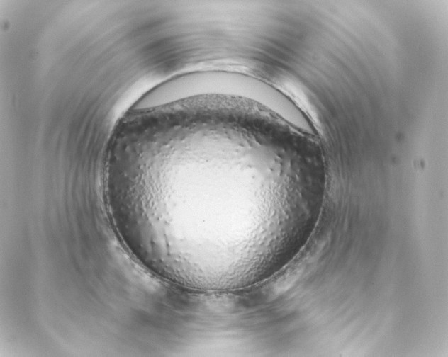 X0000088840952200706281818