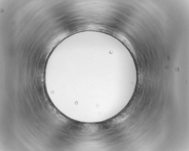 X0000088840954200706281818