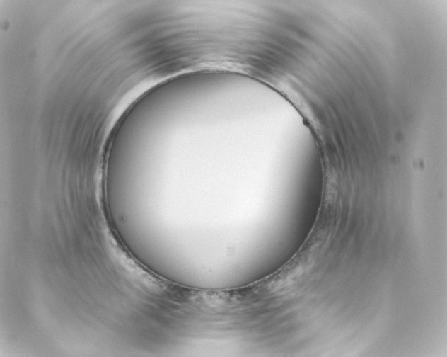 X0000088840955200706281818