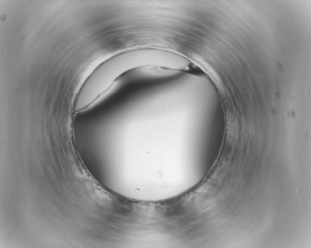 X0000088840956200706281818