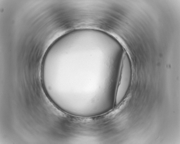 X0000088840957200706281818