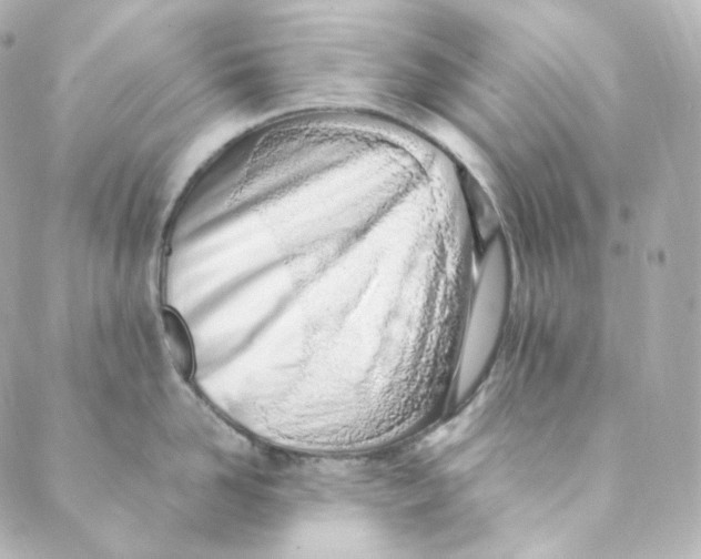 X0000088840958200706281818