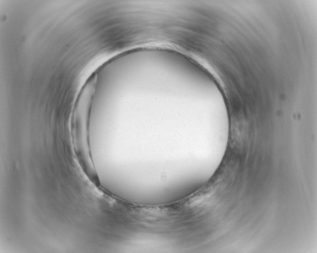 X0000088840959200706281818