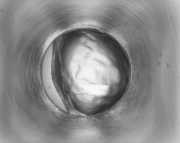 X0000088840960200706281818