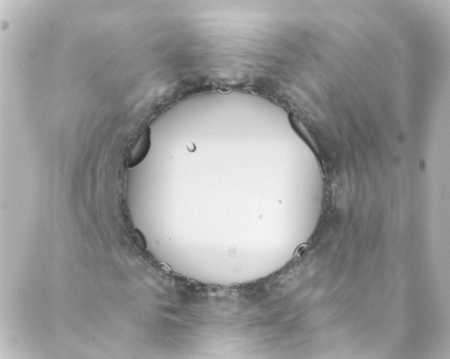 X0000088840961200706281817