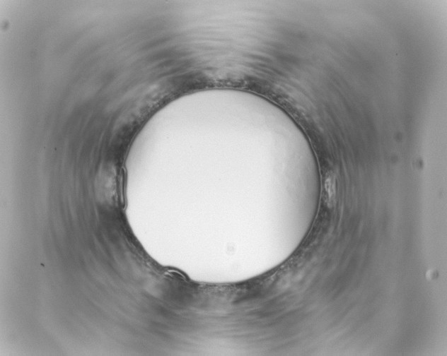 X0000088840963200706281817