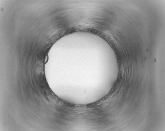 X0000088840964200706281817