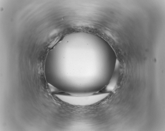 X0000088840965200706281817