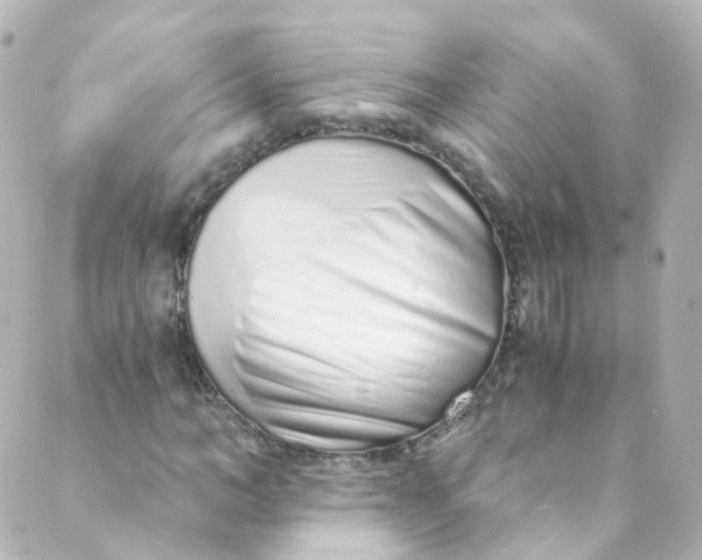 X0000088840966200706281817