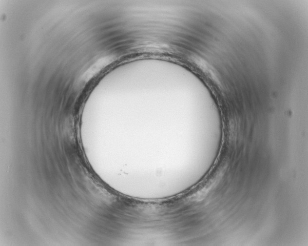 X0000088840970200706281817