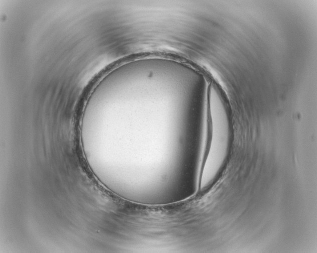 X0000088840975200706281817