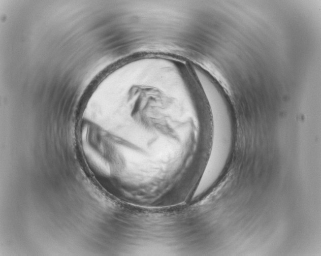 X0000088840976200706281817