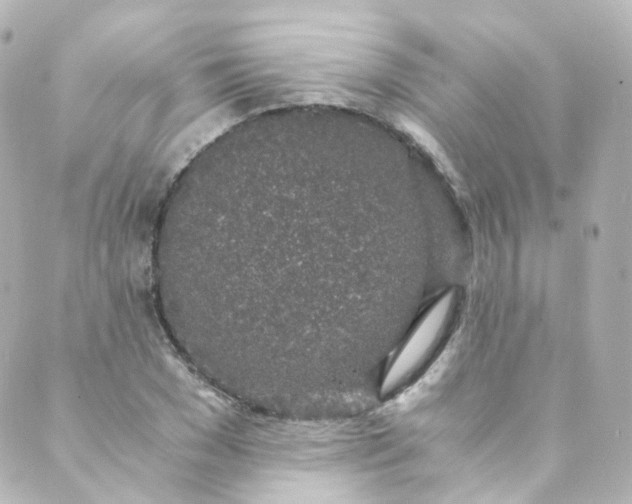 X0000088840977200706281817