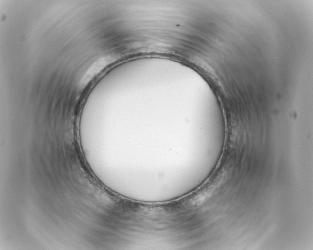 X0000088840978200706281817