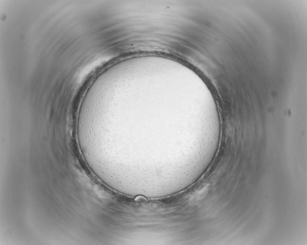 X0000088840979200706281817