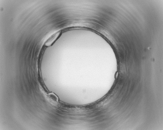 X0000088840980200706281817