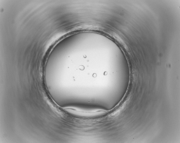 X0000088840981200706281817