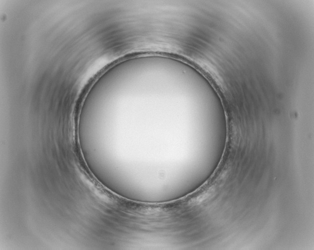 X0000088840982200706281817