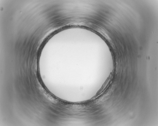 X0000088840984200706281817