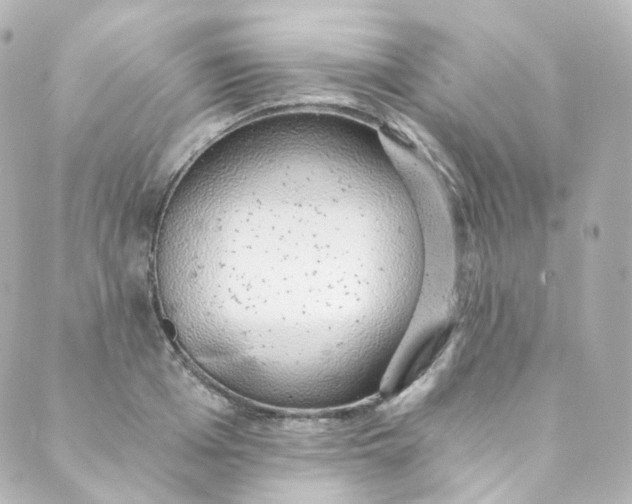 X0000088840985200706281817