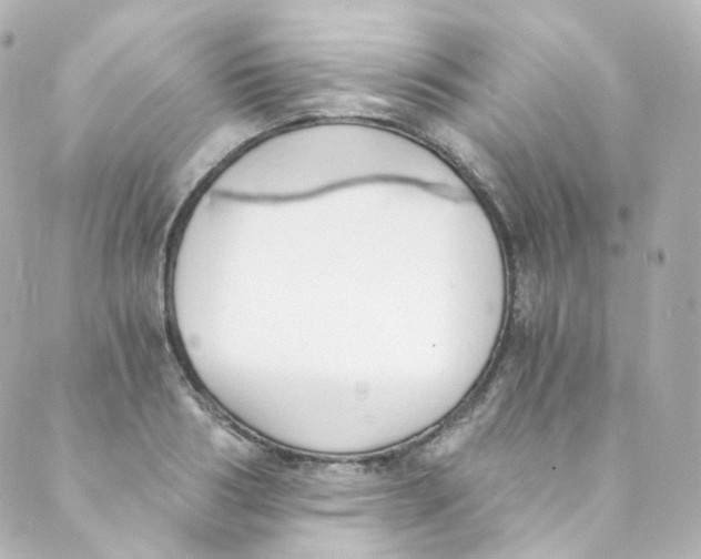 X0000088840986200706281817