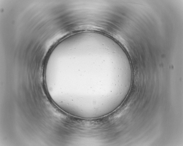 X0000088840987200706281817