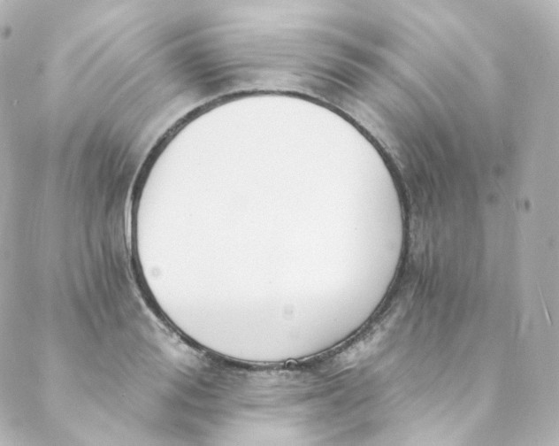 X0000088840988200706281817