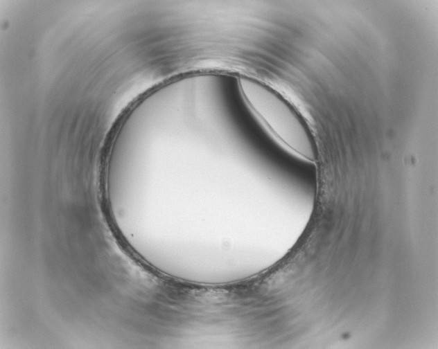 X0000088840991200706281817