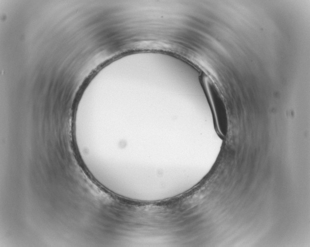 X0000088840992200706281817