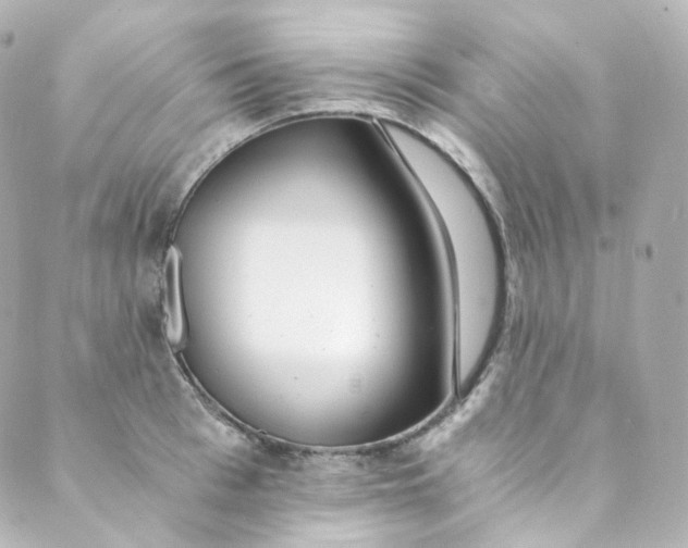 X0000088840993200706281817