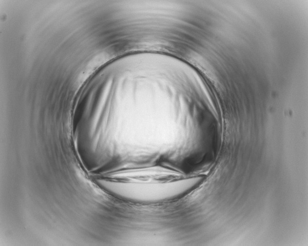 X0000088840994200706281817