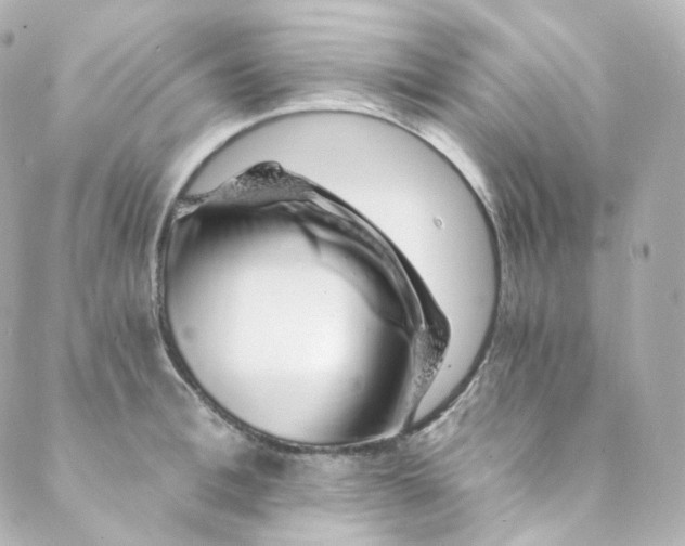 X0000088840996200706281817